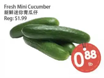 Fresh Palace Supermarket Fresh Mini Cucumber offer