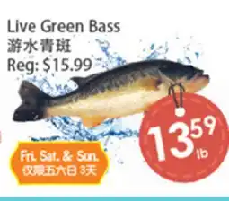 Fresh Palace Supermarket Live Green Bass offer