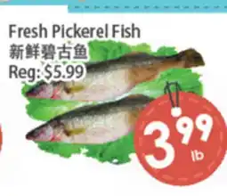 Fresh Palace Supermarket Fresh Pickerel Fish offer