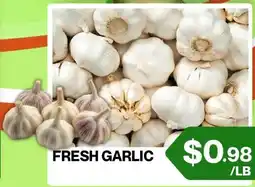 Big Bazaar Canada Fresh garlic offer