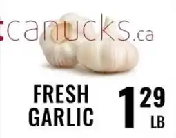 Mega Sanjha Punjab Grocery Store Fresh garlic offer