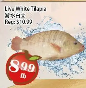 Food Depot Supermarket Live White Tilapia offer