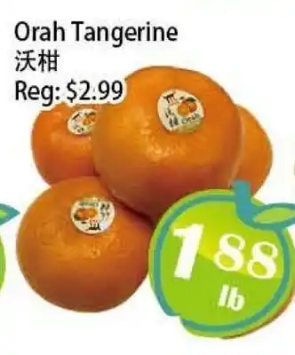 Food Depot Supermarket Orah Tangerine offer