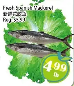 Food Depot Supermarket Fresh Spanish Mackerel offer