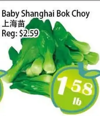 Food Depot Supermarket Baby Shanghai Bok Choy offer