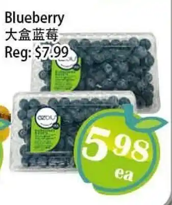 Food Depot Supermarket Blueberry offer