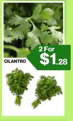 Big Bazaar Canada Cilantro offer