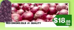 Big Bazaar Canada Red onions offer