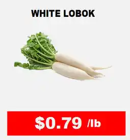 Hong Kong Food Market White lobok offer