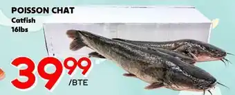 Marche Salaberry POISSON CHAT offer