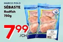 Marche Salaberry MARCO POLO SÉBASTE offer