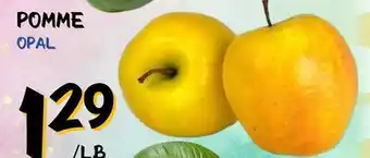 Marche Salaberry POMME offer