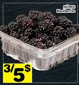 Supermarché PA MÛRES | Blackberries offer