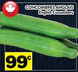 Supermarché PA CONCOMBRES ANGLAIS | English Cucumbers offer