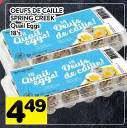 Supermarché PA OEUFS DE CAILLE SPRING CREEK | Quail Eggs offer