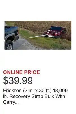 Costco Erickson (2 in. x 30 ft.) 18,000 lb. Recovery Strap Bulk With Carry Bag offer