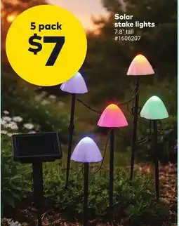 Giant Tiger Solar stake lights offer