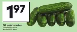 Giant Tiger 340 g mini cucumbers offer