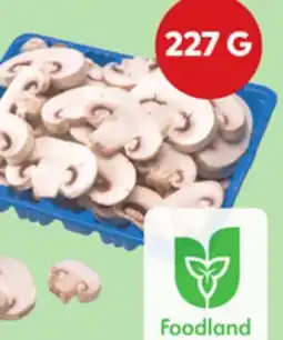 Giant Tiger 227 g sliced white mushrooms offer