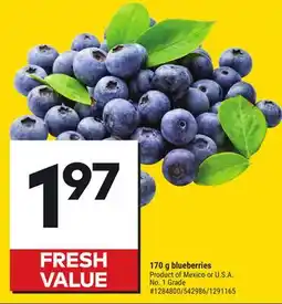 Giant Tiger 170 g blueberries offer