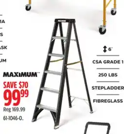 Canadian Tire Maximum Ladder offer