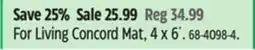 Canadian Tire For Living Concord Mat, 4 x 6´ offer