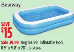 Canadian Tire Bestway Inflatable Pool offer