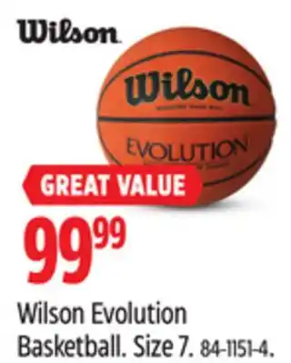 Canadian Tire Wilson Evolution Basketball offer