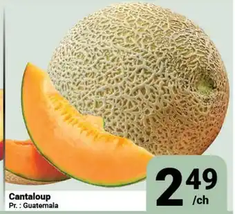 Pasquier Cantaloup offer