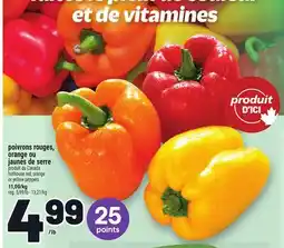 Metro POIVRONS ROUGES, ORANGE OU JAUNES DE SERRE | HOTHOUSE RED, ORANGE OR YELLOW PEPPERS offer