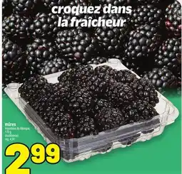 Metro MÛRES | BLACKBERRIES offer