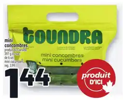 Metro MINI CONCOMBRES | MINI CUCUMBERS offer
