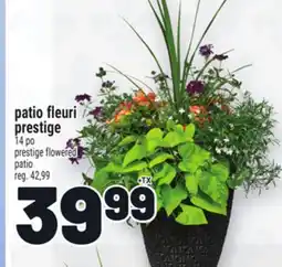 Metro PATIO FLEURI PRESTIGE | PRESTIGE FLOWERED PATIO offer