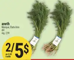 Marché Adonis ANETH | DILL offer