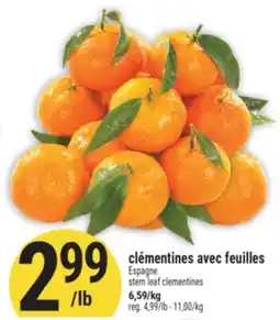 Marché Adonis CLÉMENTINES AVEC FEUILLES | STEM LEAF CLEMENTINES offer