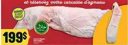 Marché Adonis CARCASSE D'AGNEAU ENTIER SURGELÉ | FROZEN WHOLE LAMB CARCASS offer