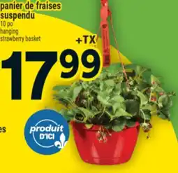 Super C panier de fraises suspendu | hanging strawberry basket offer