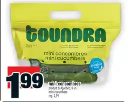 Super C mini concombres | mini cucumbers offer