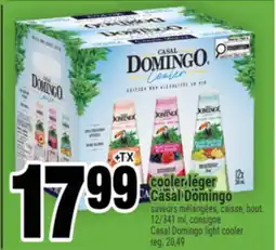 Super C cooler léger CasalDomingo | CasalDomingo light cooler offer