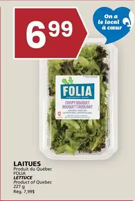Rachelle-Bery Grocery FOLIA LETTUCE offer