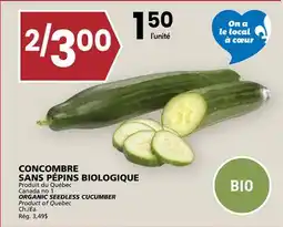 Rachelle-Bery Grocery ORGANIC SEEDLESS CUCUMBER offer