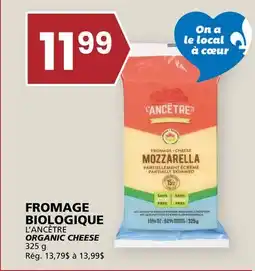 Rachelle-Bery Grocery L'ANCÊTRE ORGANIC CHEESE offer