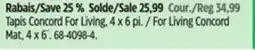Canadian Tire For Living Concord Mat offer