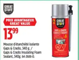 Canadian Tire Gaps & Cracks Insulating Foam Sealant, 340g offer