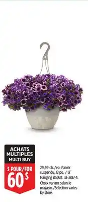 Canadian Tire 2˝ Hanging Basket offer