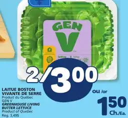 Marché Bonichoix GEN V GREENHOUSE LIVING BUTTER LETTUCE offer