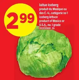 Maxi LAITUE ICEBERG | ICEBERG LETTUCE offer