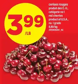 Maxi CERISES ROUGES | RED CHERRIES offer