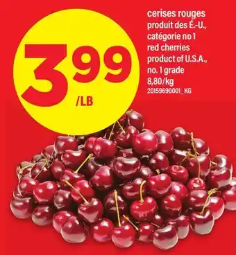Maxi CERISES ROUGES | RED CHERRIES offer