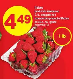 Maxi FRAISES | STRAWBERRIES offer